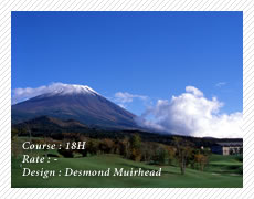 �ٻΥ��饷�å�