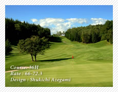 �ӹ���򥫥�ȥ꡼�����